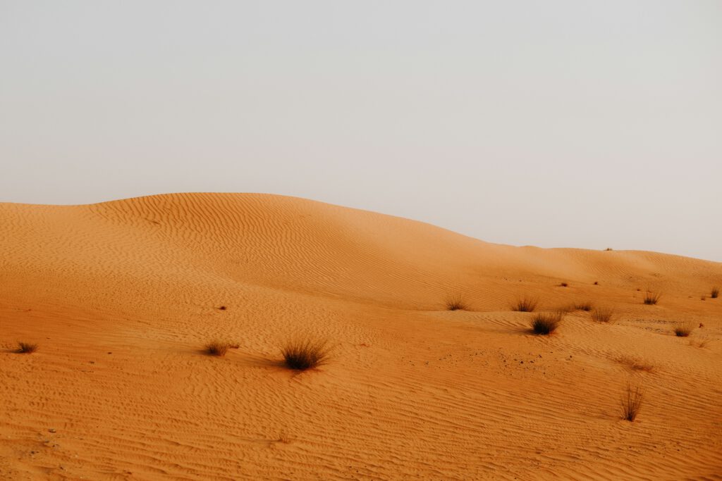 Desert Dubai